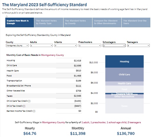 Interactive Self Sufficiency Standard